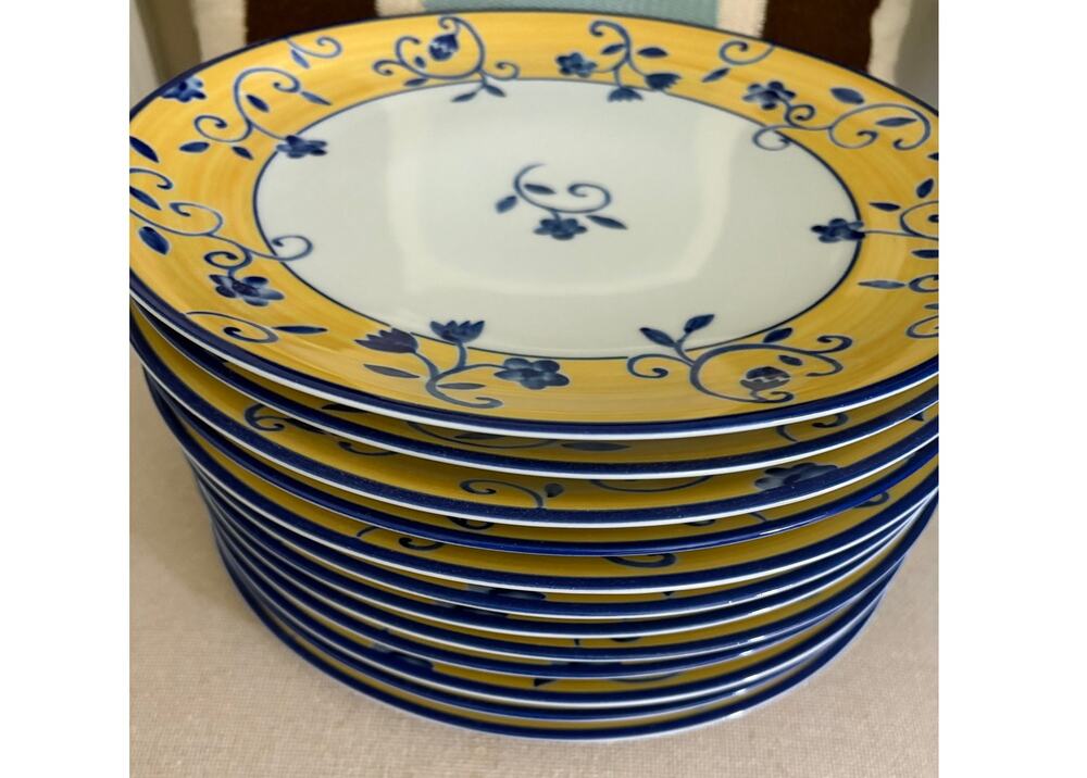 Nancy Calhoun SANTANA Pattern Set of Dinner Plates - 12